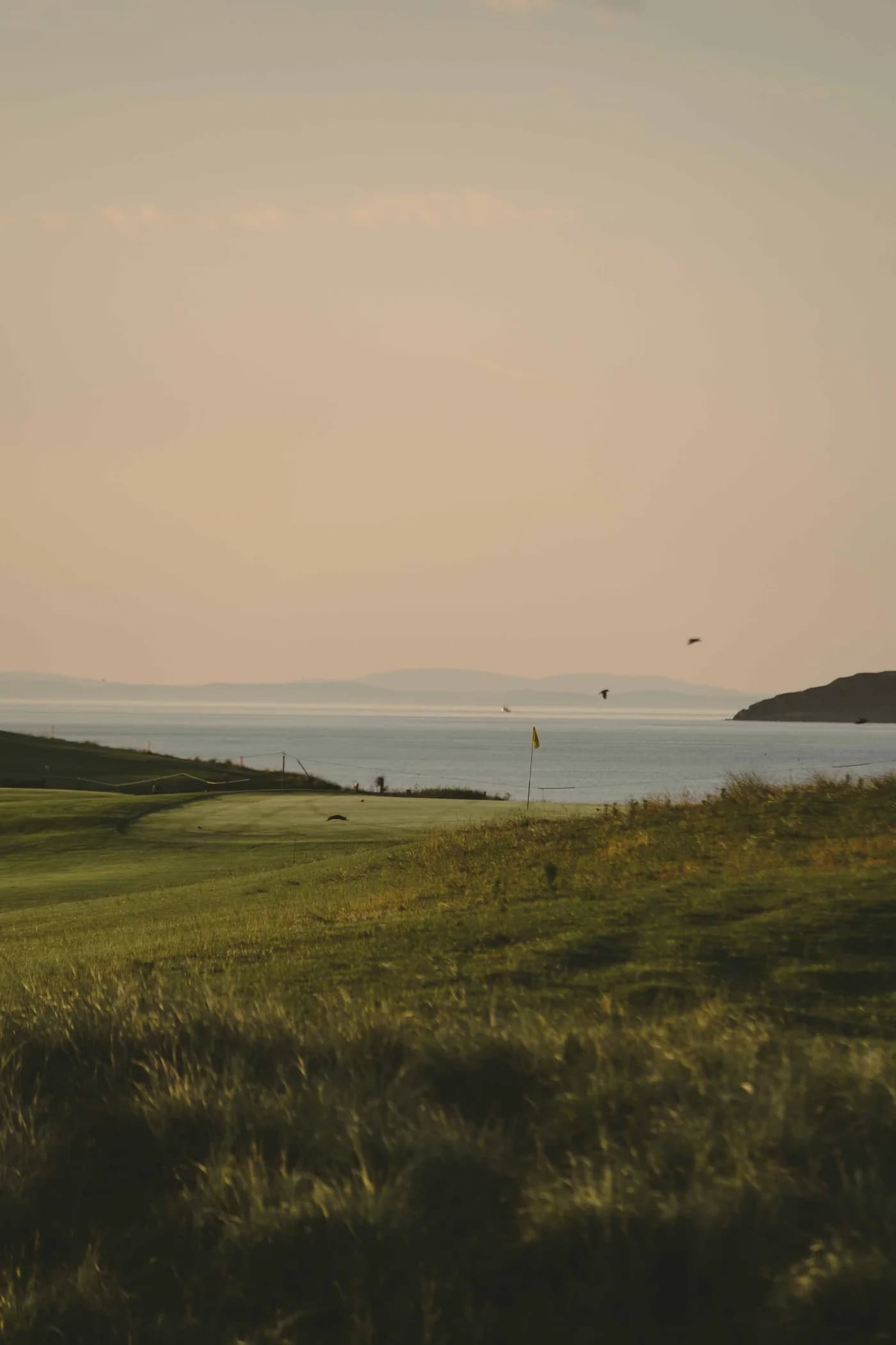 A green and flag beside the sea at Dunaverty Golf Club