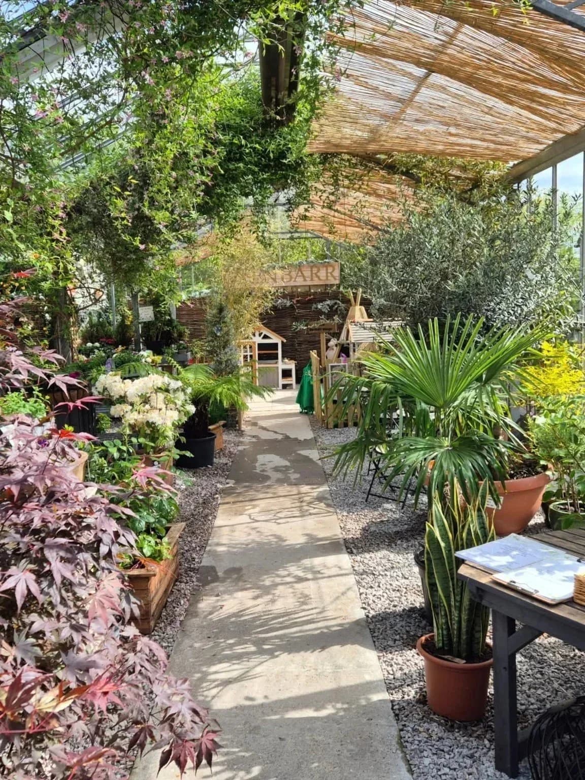 A leafy walkway through the greenhouse at Glenbarr Stores