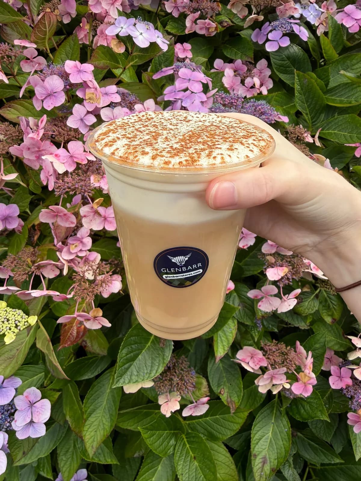 Glenbarr iced coffee against pink hydrangeas