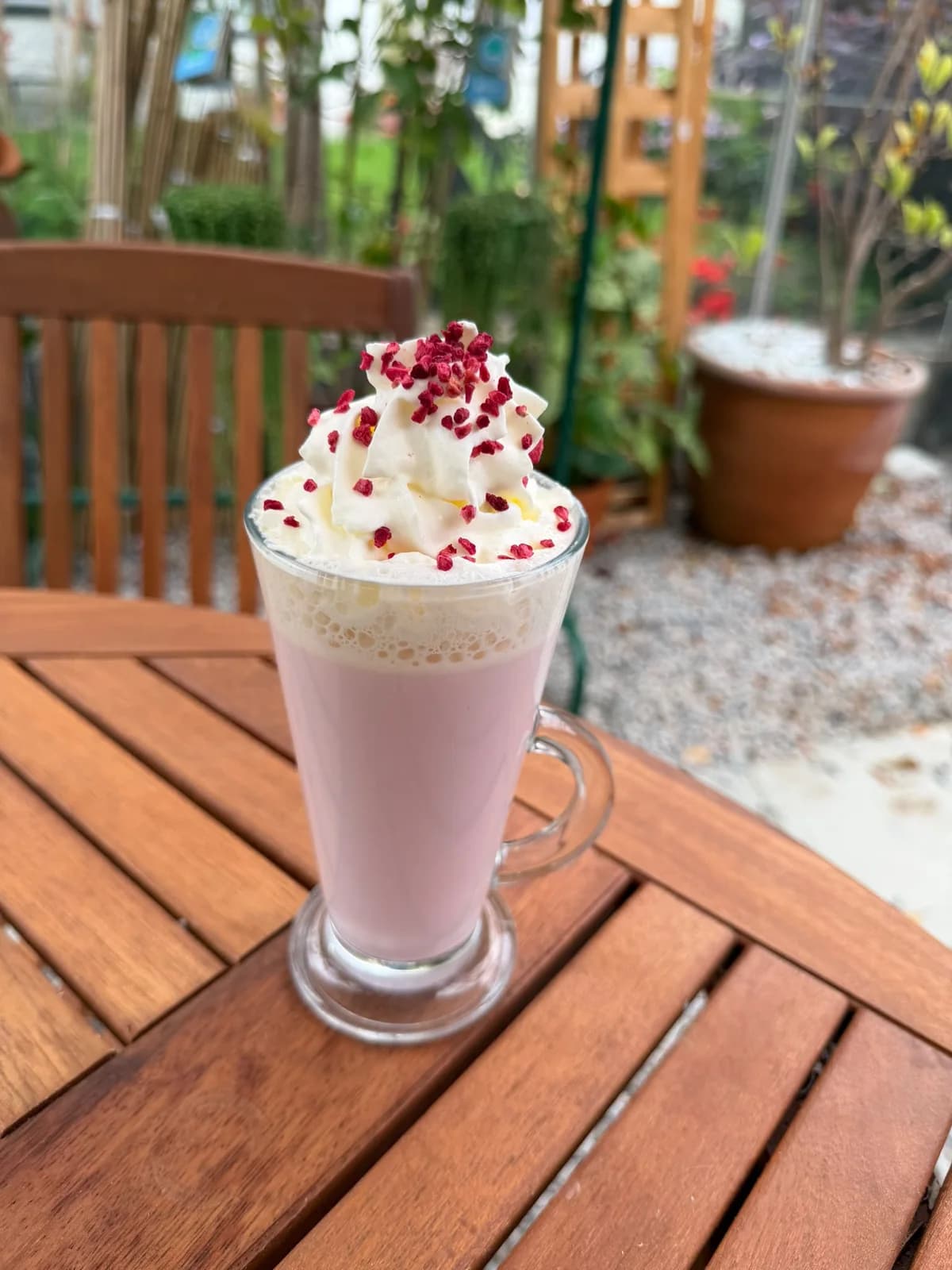 Pink drink topped with cream in the Glenbarr greenhouse