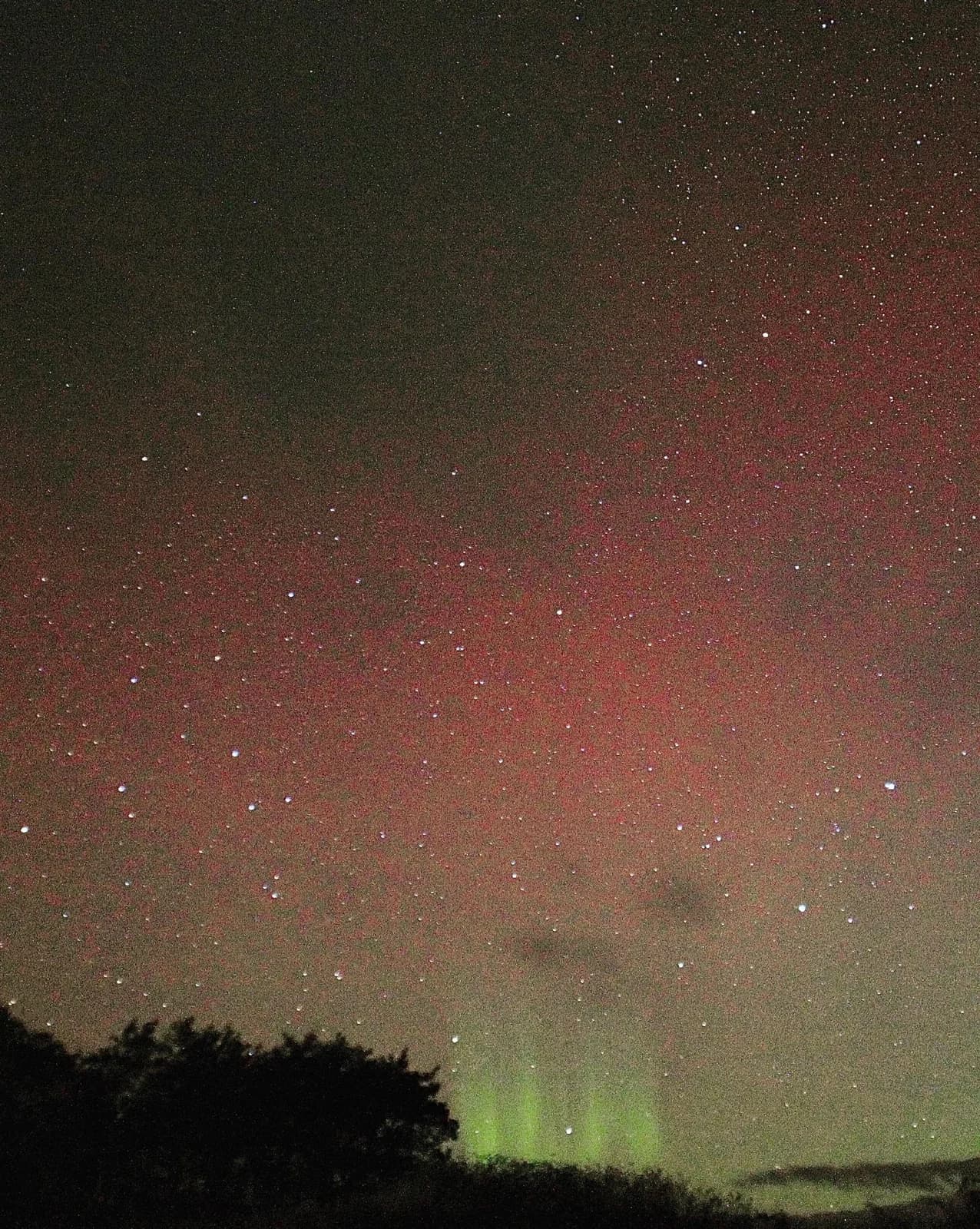 Stars above Gigha’s Dark Skies Theatre